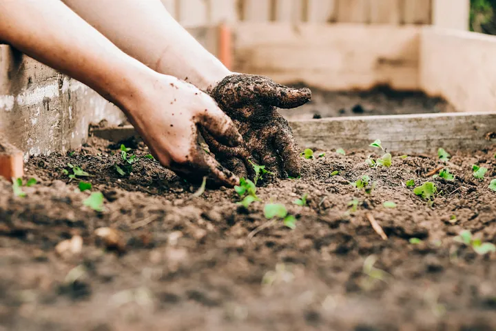 Composter à la Maison : Guide Simple