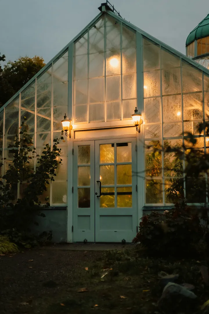 Planter avec la Lune : Mythe ou Réalité ?