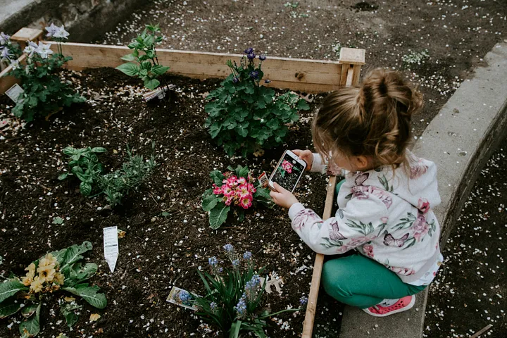 Réussir son Premier Jardin Vertical