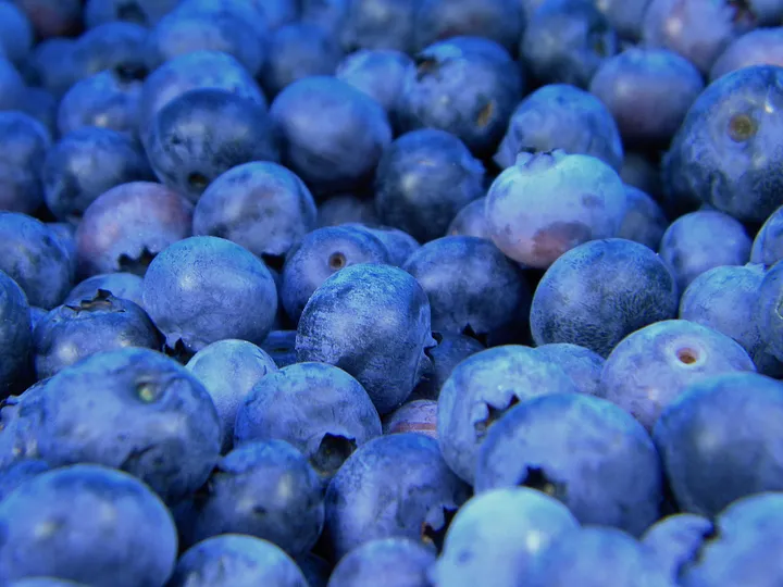 La Taille des Arbres Fruitiers : Quand et Comment