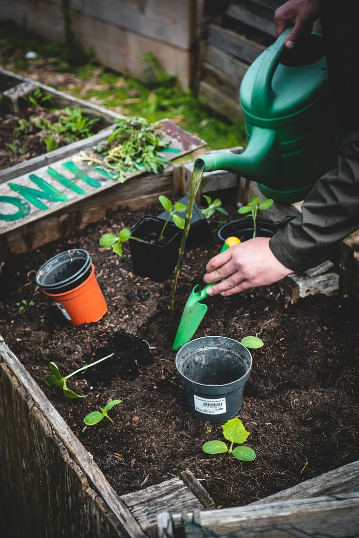 Les Bienfaits du Jardinage