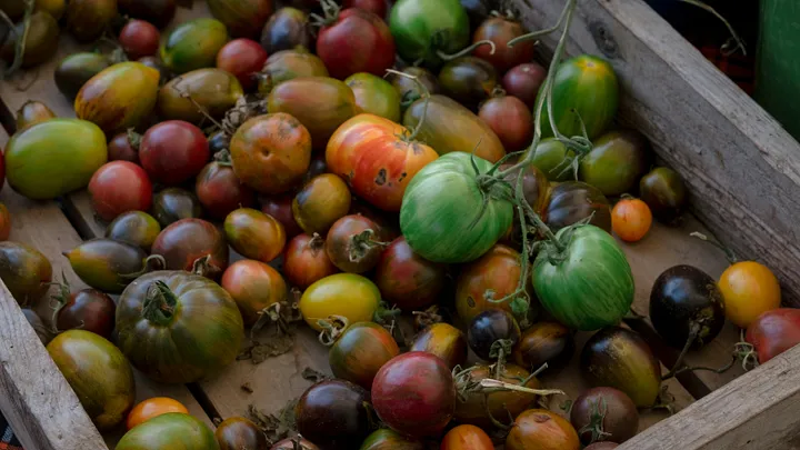 Cultiver des Variétés Anciennes pour un Jardin Unique