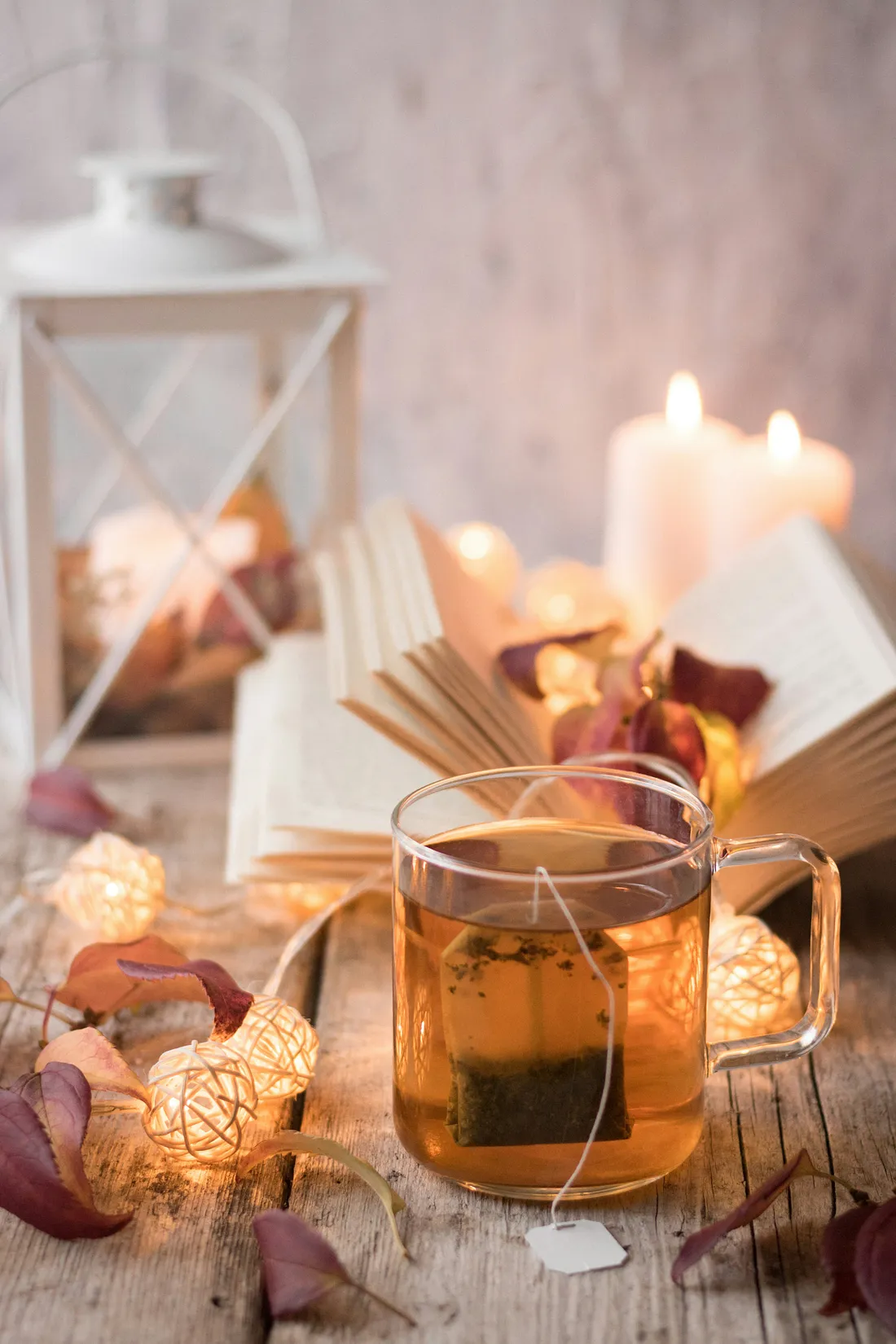 Préparer une Tisane Apaisante à la Camomille